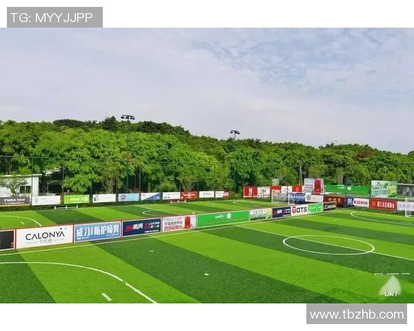 中国足球赞助商的崛起与挑战解析及其对足球发展的影响